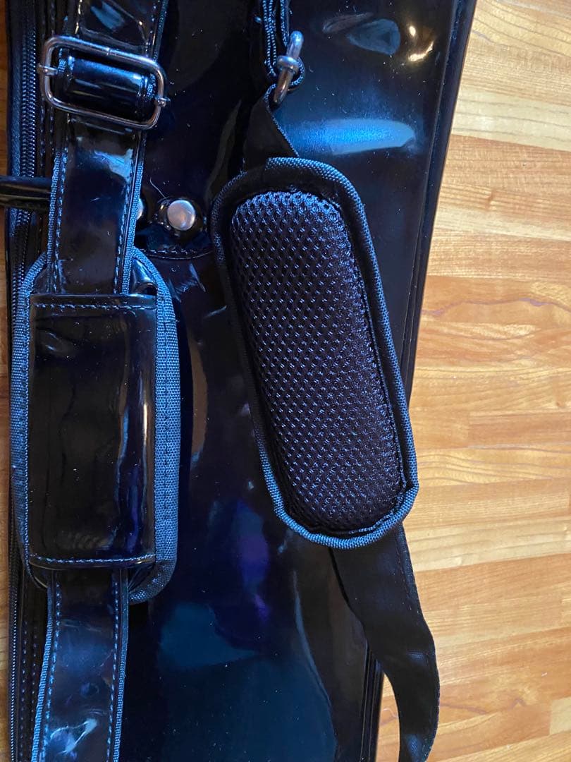 二胡セミハードケース２本入り