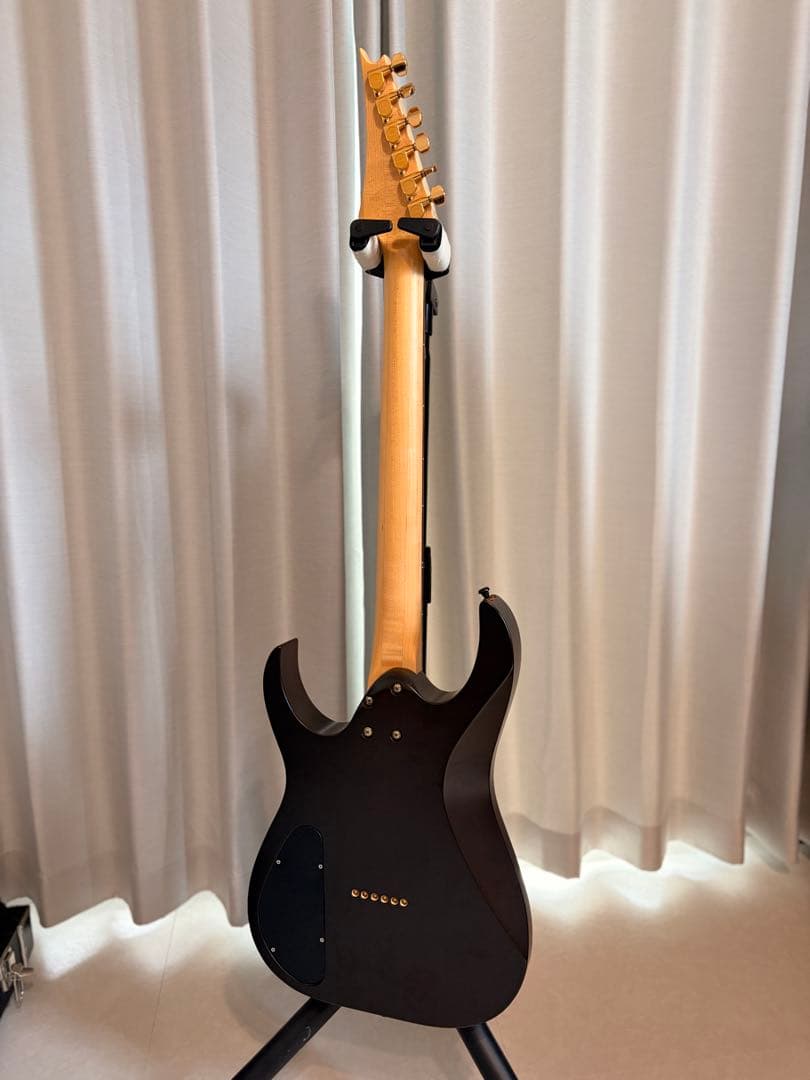 ESP系　オーダーギター　Seymour Duncan