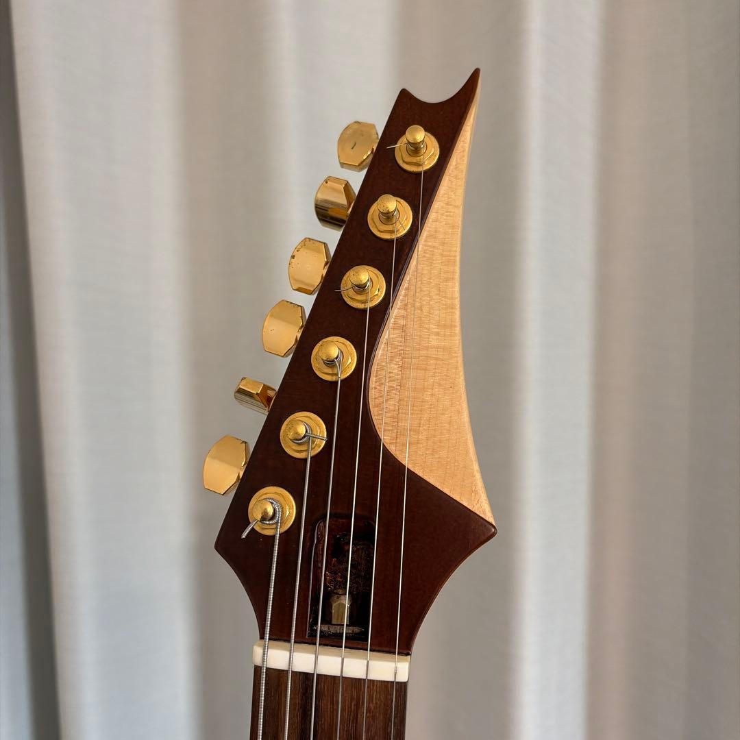 ESP系　オーダーギター　Seymour Duncan