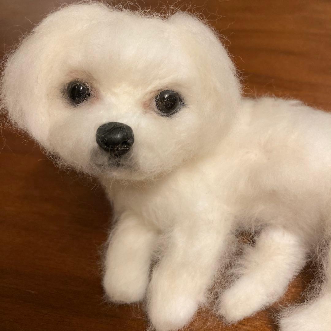 羊毛フェルト マルチーズ