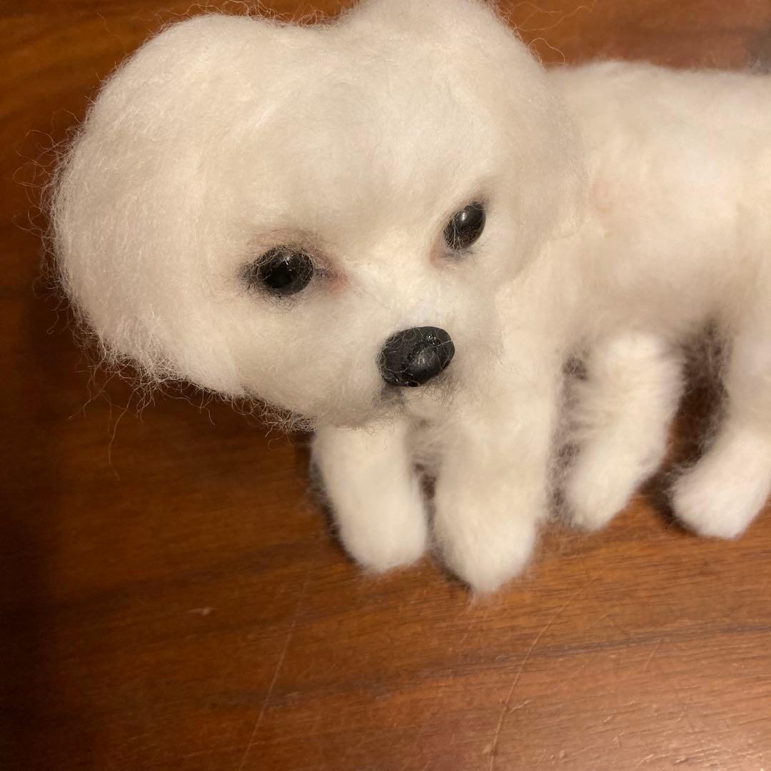 羊毛フェルト マルチーズ