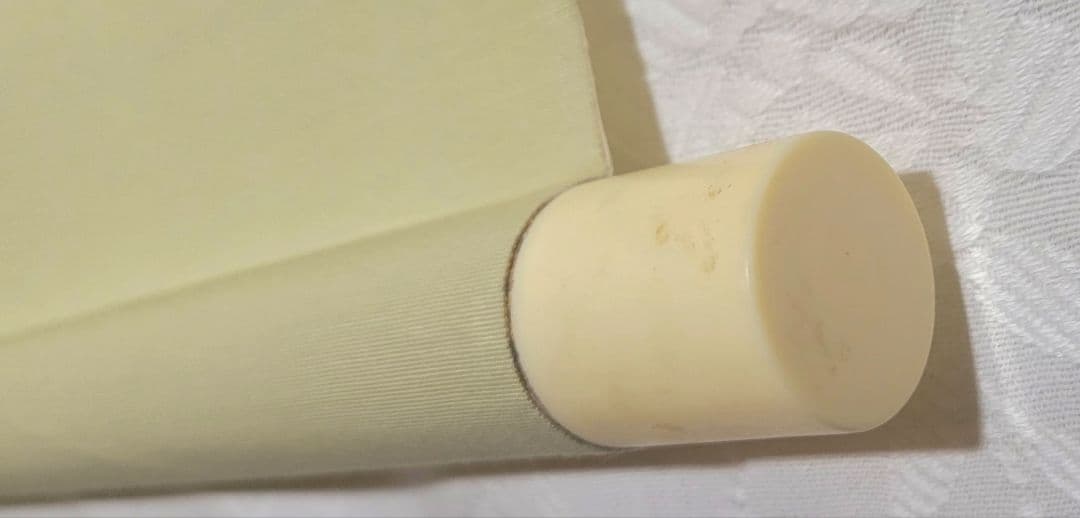 紅梅の図　俳画　扇面　紅雪銘　掛け軸　合わせ箱　画賛　書画、骨董品、美術品