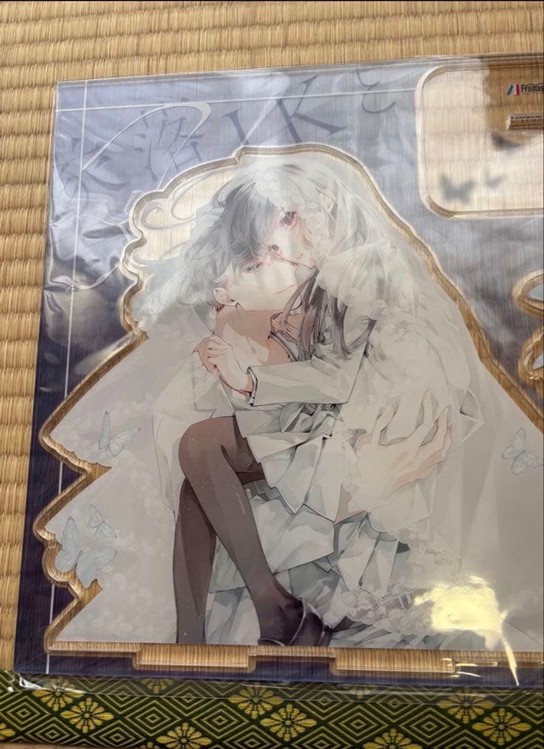 墜落JKと廃人教師 BIGアクリルスタンド2点セット sora