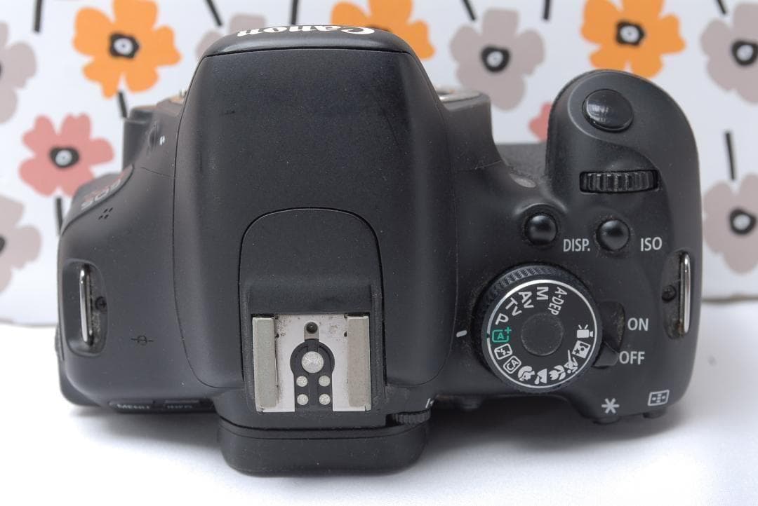 ❤Canon Kiss X5❤動画撮影もOK❤入門機にオススメ❤スマホ転送OK❤