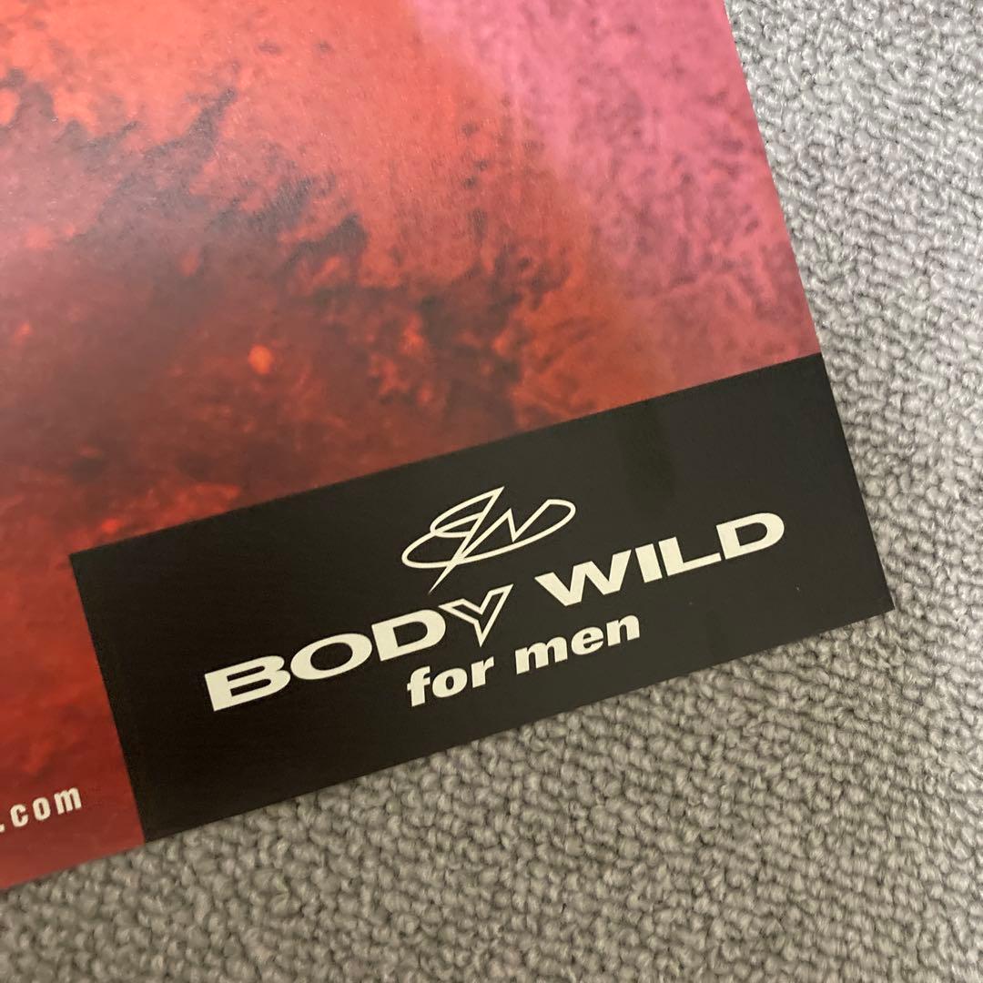 井川遥　BODY WILD FIT BOXER ポスター　美品　グンゼ　赤　１