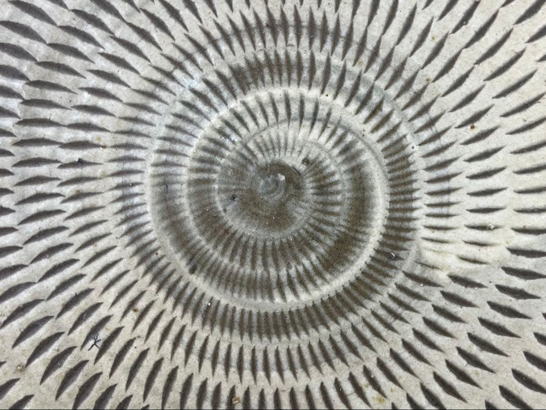 小石原焼 飛鉋 大皿 飾皿 直径約42cm 大型 飛び鉋 在銘 伝統工芸 小鹿田