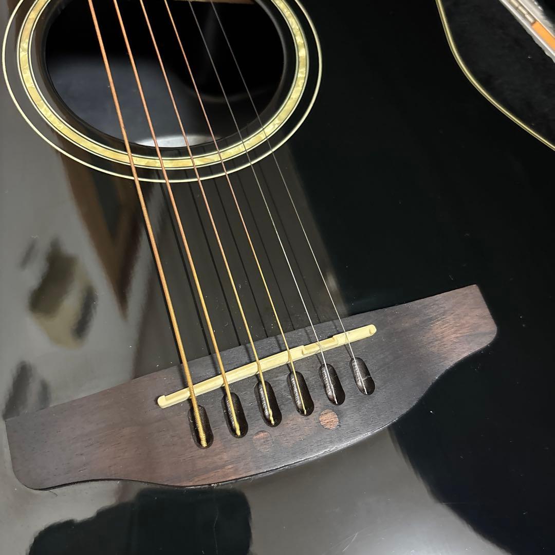 Celebrity CS245 エレアコ 純正ハードケース付き