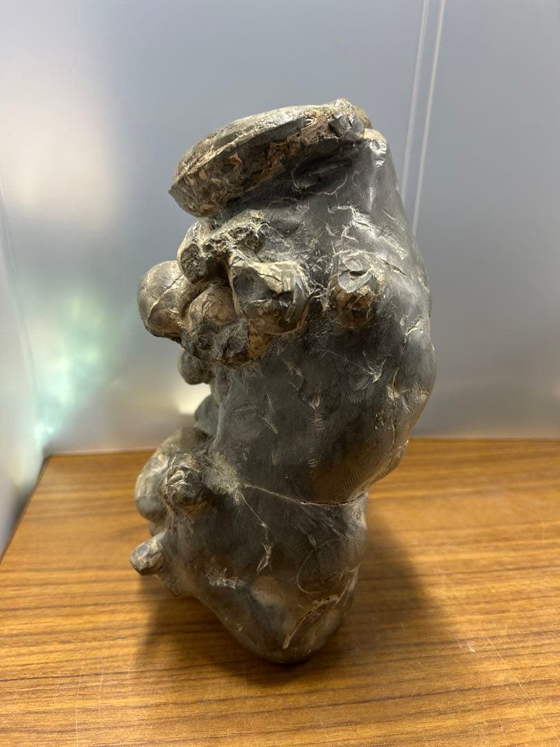 中川産 リーシティス・ミニムス（アンモナイト化石標本）　約6.5kg