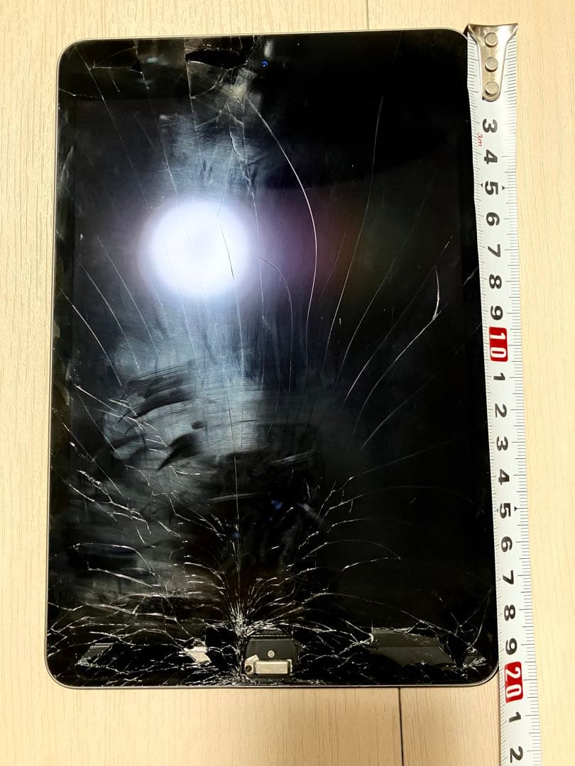 iPad mini (5th generation) 256GB 本体　破損あり