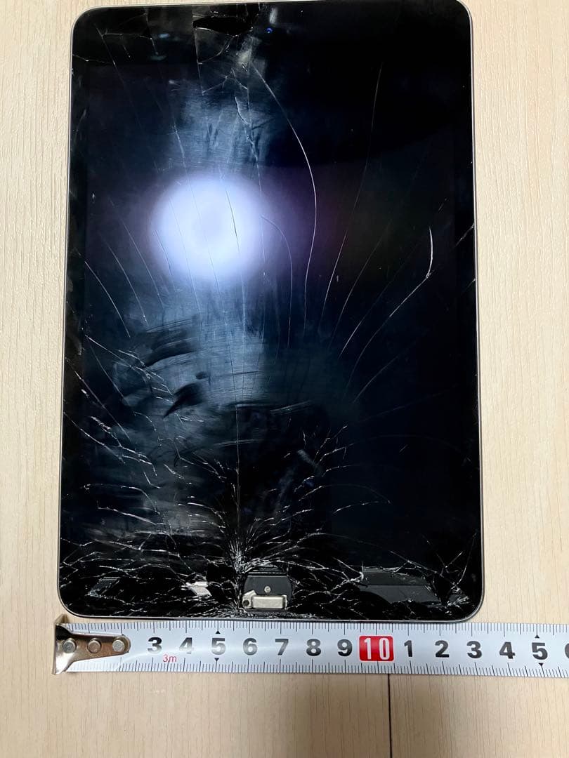 iPad mini (5th generation) 256GB 本体　破損あり