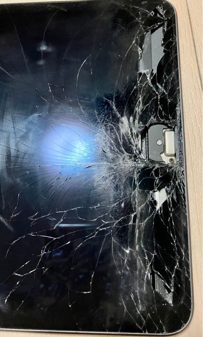 iPad mini (5th generation) 256GB 本体　破損あり