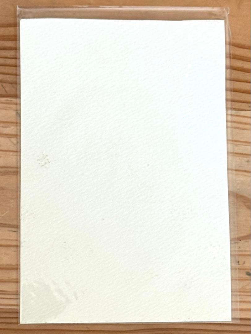 【原画・サイン入り】山口一郎 直筆原画ポストカード｜カラフルな実（アート作品）