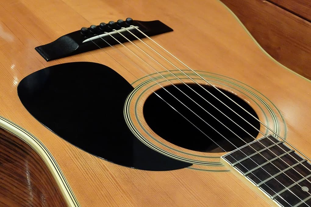 Morales LYRE BIRD M-50 セミハードケース付き