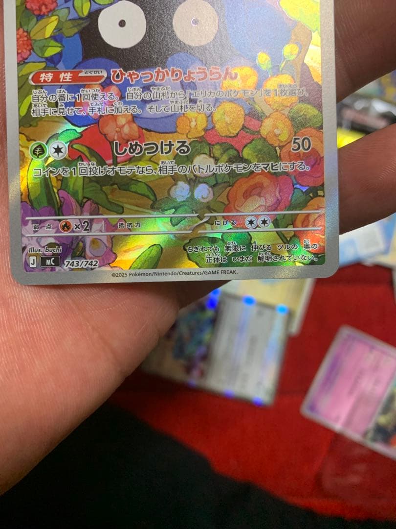 エリカのモンジャラ SR 243/242