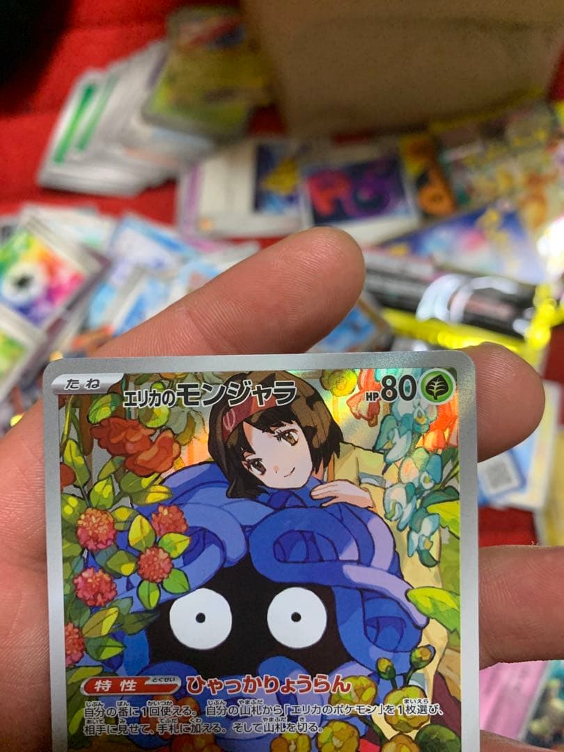 エリカのモンジャラ SR 243/242