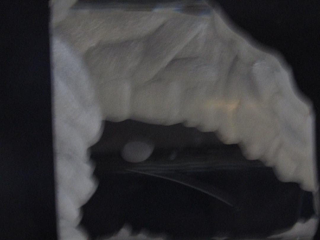 HOYAクリスタル　限定品　クリスタル海洋生物彫刻　希少品