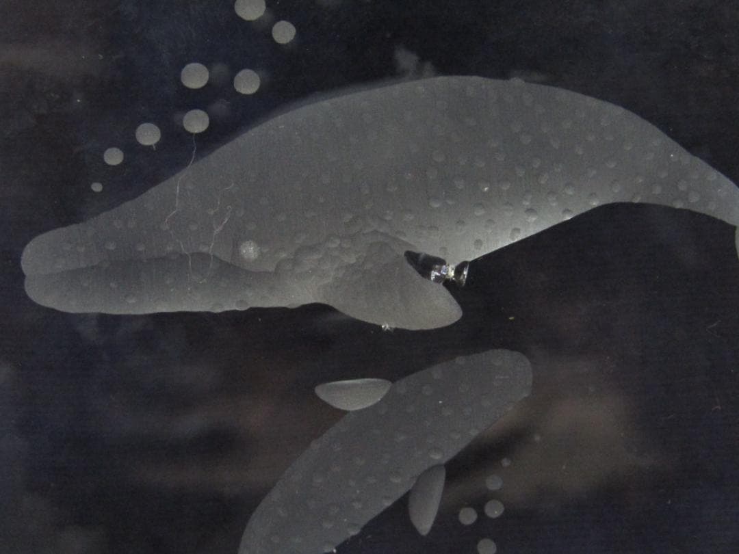 HOYAクリスタル　限定品　クリスタル海洋生物彫刻　希少品