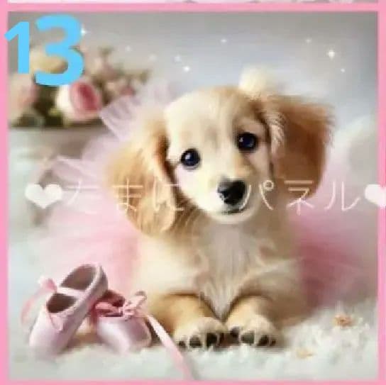 512★オーダーページ★ハンカチ　バレエわんこ柄9/21たまにゃん様パネル