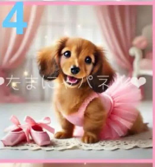 512★オーダーページ★ハンカチ　バレエわんこ柄9/21たまにゃん様パネル