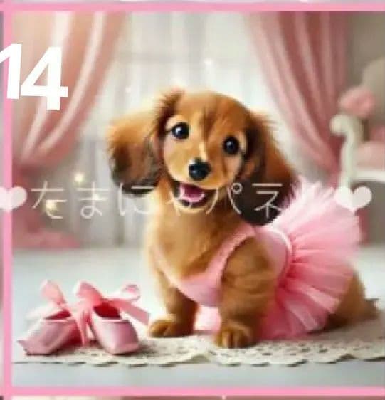 512★オーダーページ★ハンカチ　バレエわんこ柄9/21たまにゃん様パネル