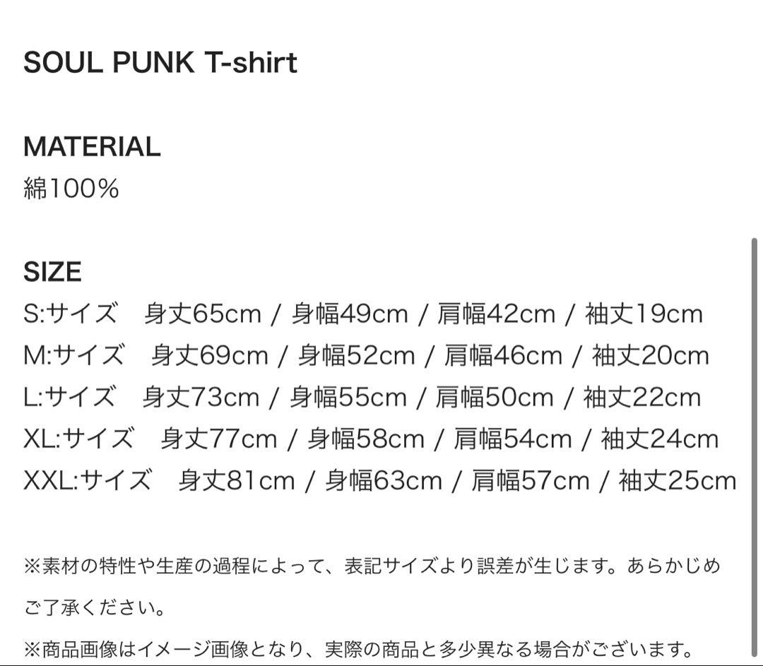 Hi-STANDARD SOUL PUNK 26 ハイスタ