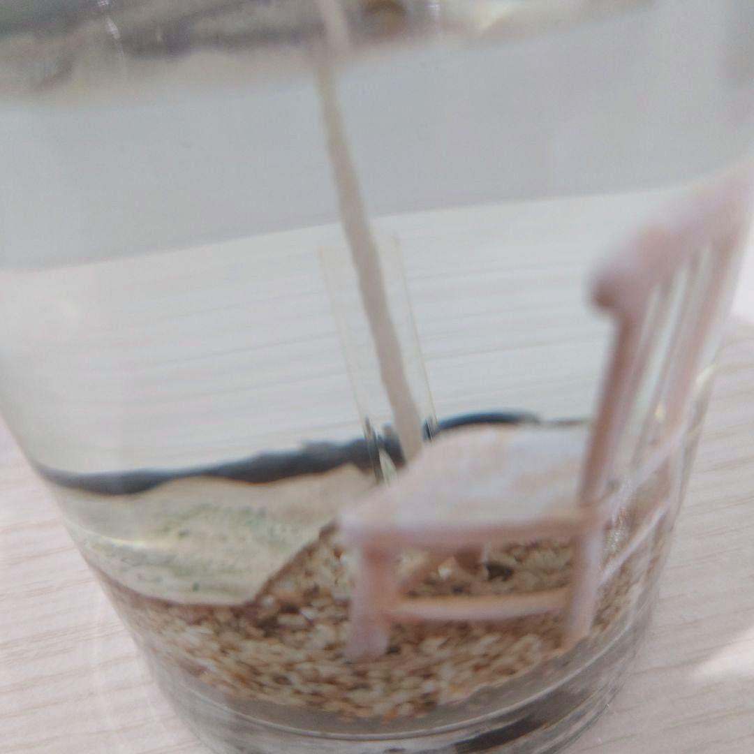 寄付　対象　蚊取り　キャンドル　チェアー　アロマ　インテリア　小物　置物