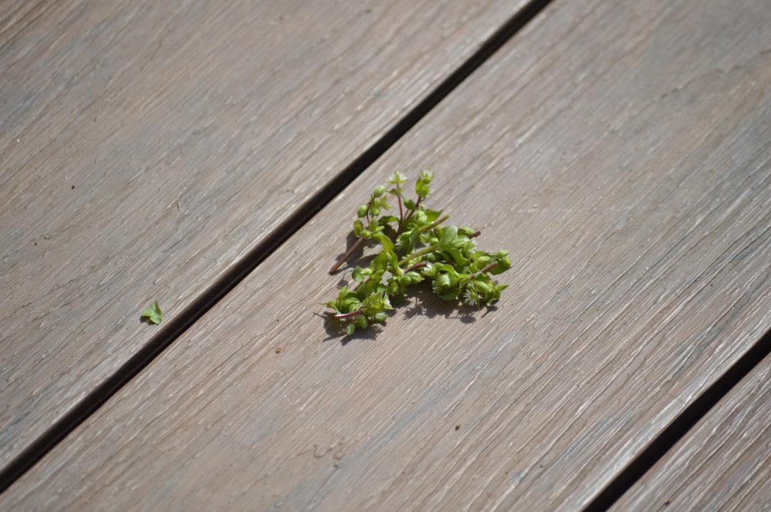 現状品 Nikon D3200　望遠レンズセット スマホ転送　2416万高画質機