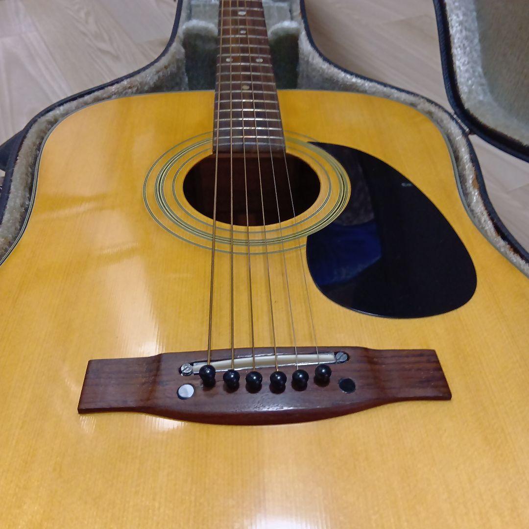 Kwagga アコースティックギター ハードケース付き