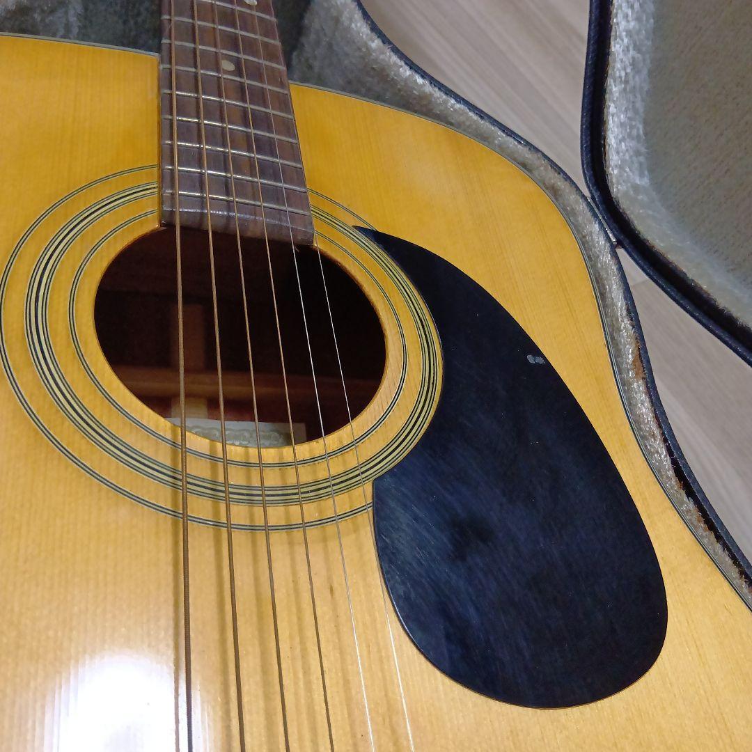 Kwagga アコースティックギター ハードケース付き