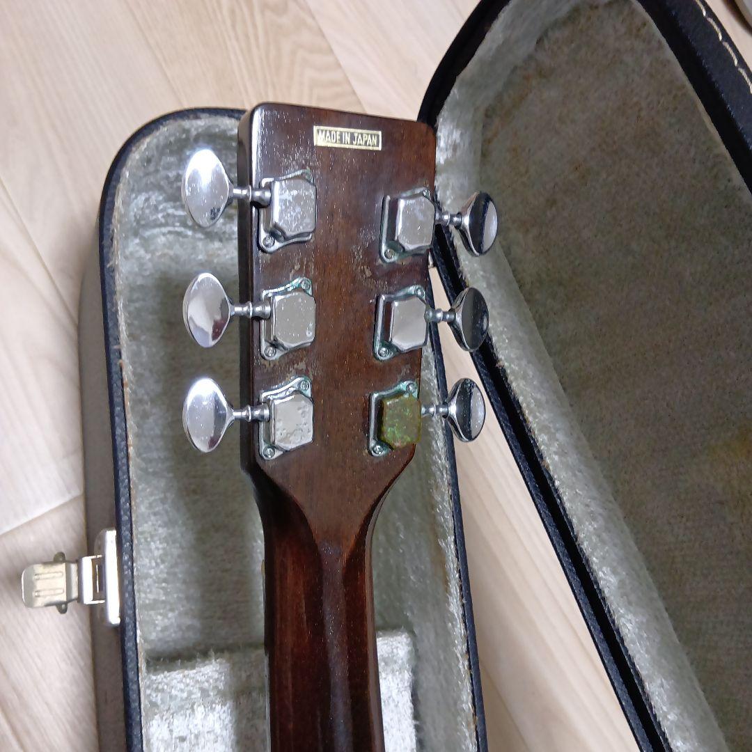 Kwagga アコースティックギター ハードケース付き