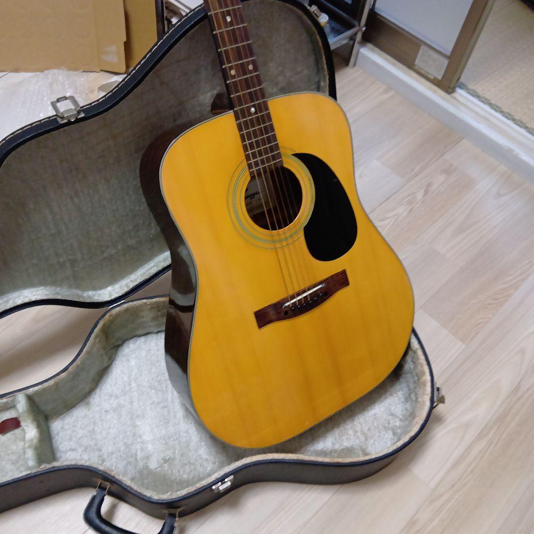 Kwagga アコースティックギター ハードケース付き