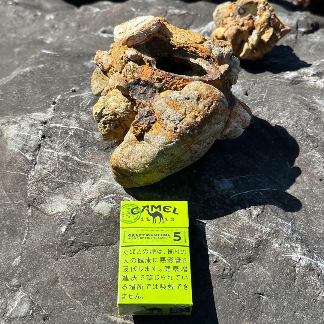 美濃の壺石 天然記念物 鑑定書添付 岐阜県土岐市 造花 花器