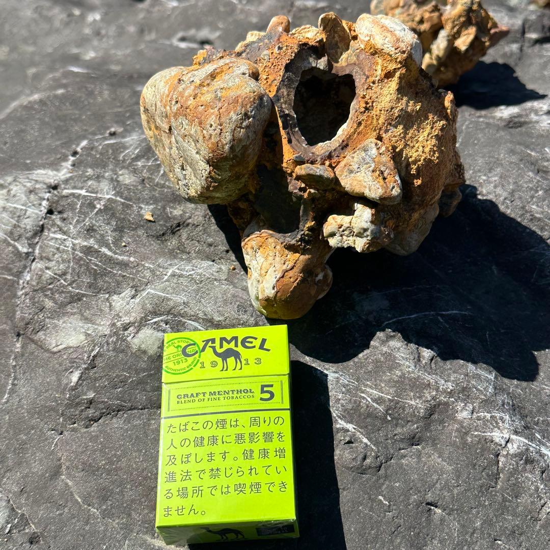 美濃の壺石 天然記念物 鑑定書添付 岐阜県土岐市 造花 花器