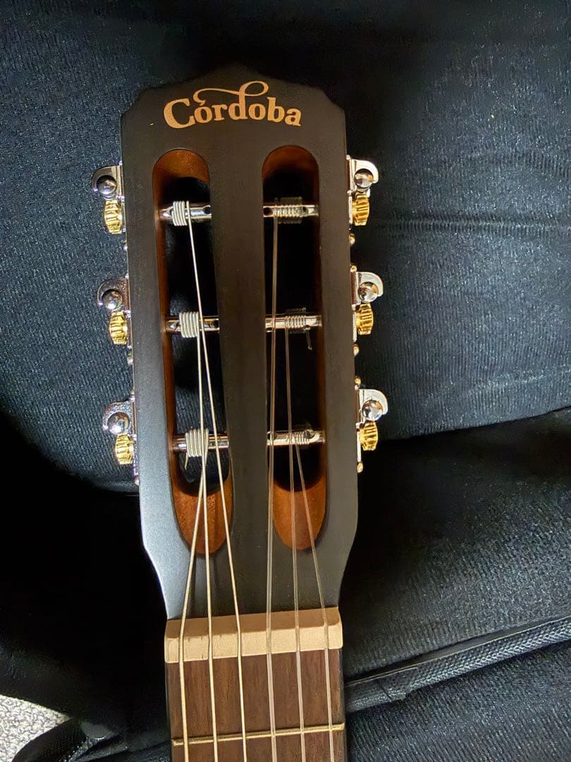 美品　Cordoba guilele ce ギグバック&ピックアップ付