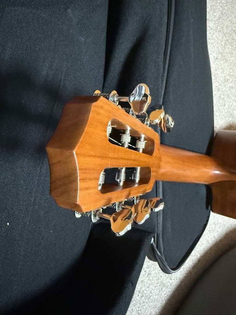 美品　Cordoba guilele ce ギグバック&ピックアップ付