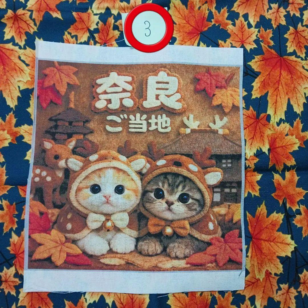 専用　クロム様