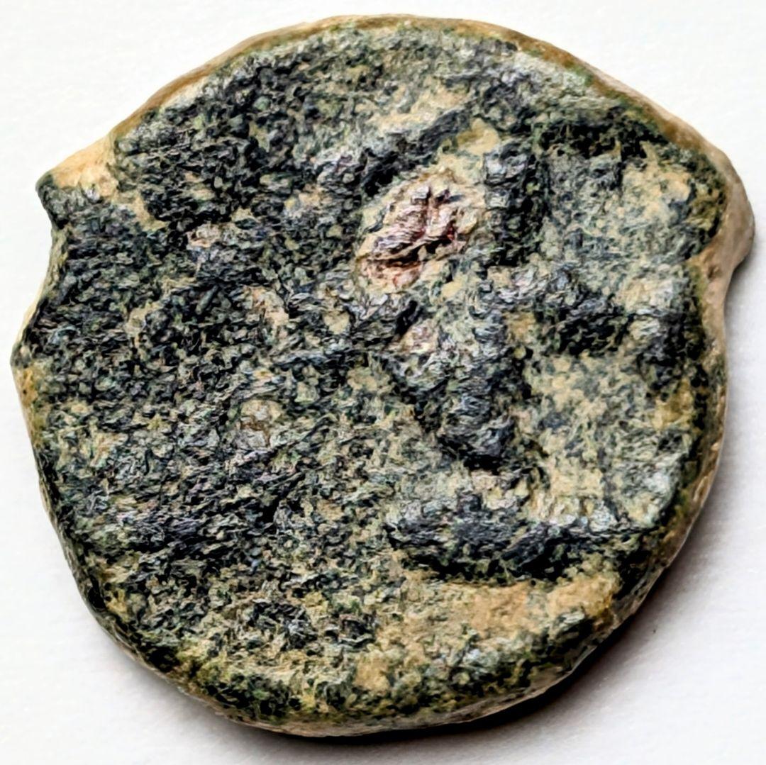 TKC111 アンテミウス