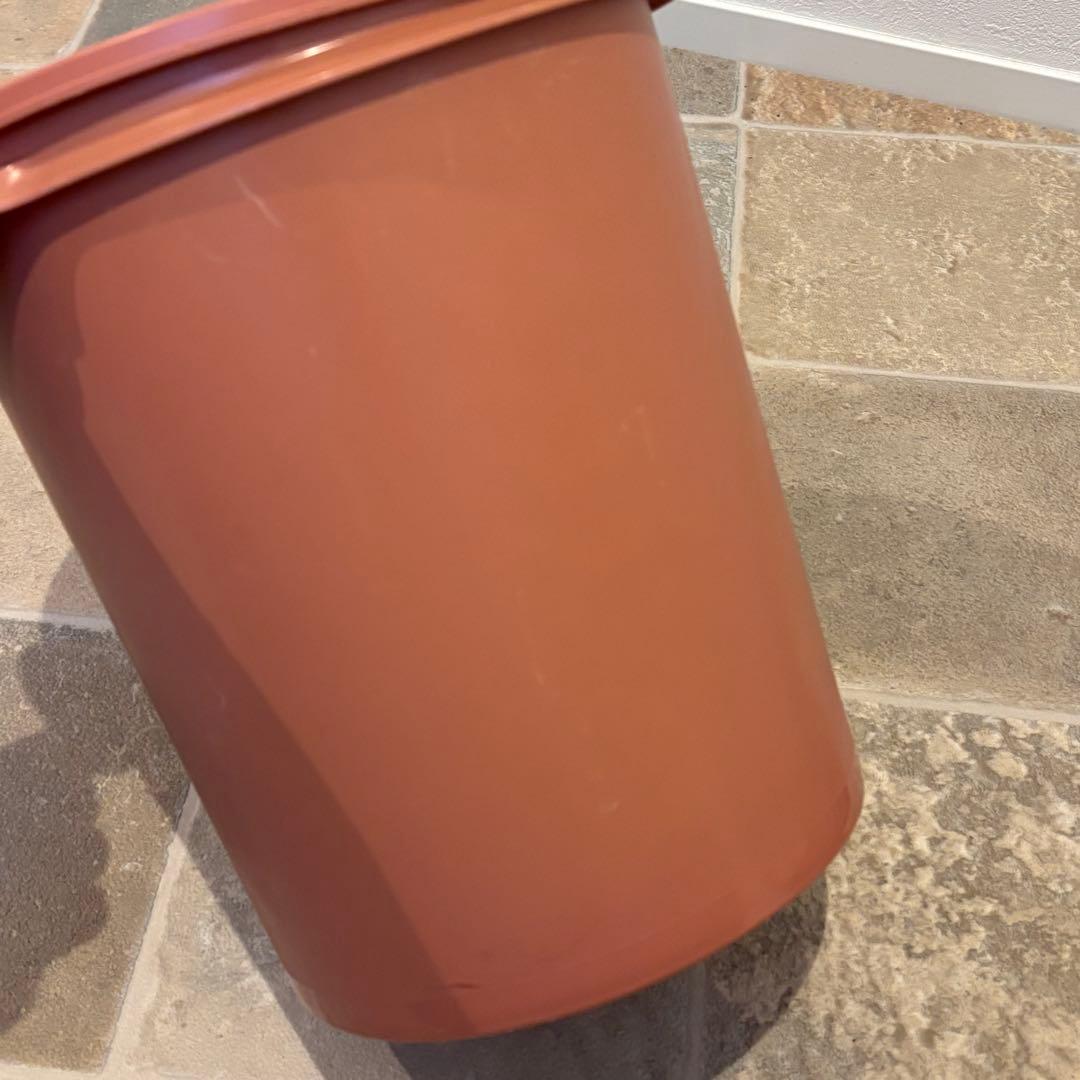 【美品】タッパーウェア 3個セットマキシクィーンデコレーターTupperware