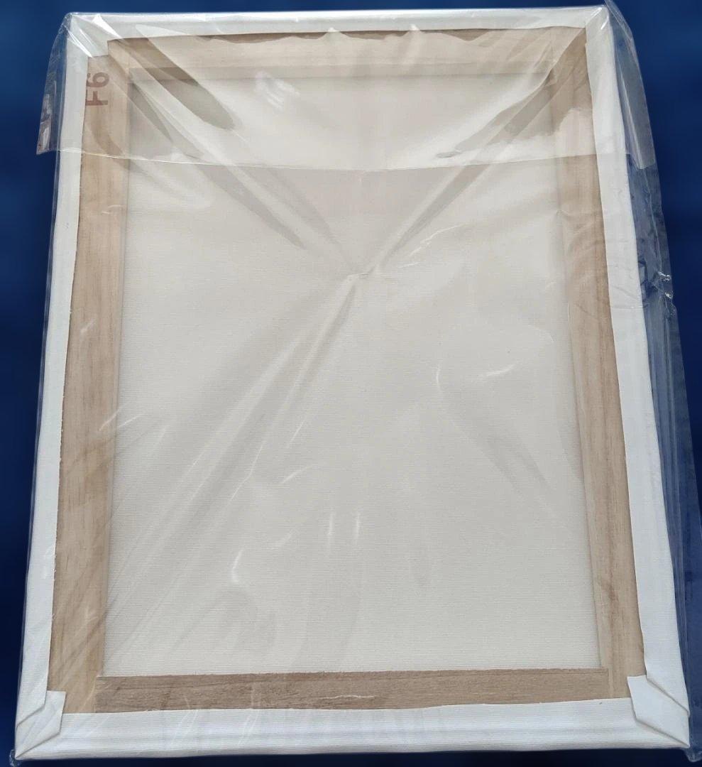 藤真拓哉　秋服、似合うかな？　F6　キャンバスアート