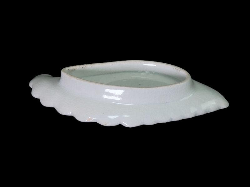 古伊万里　染付　草花紋の図　巻貝型変形皿　D852AS-fbpv