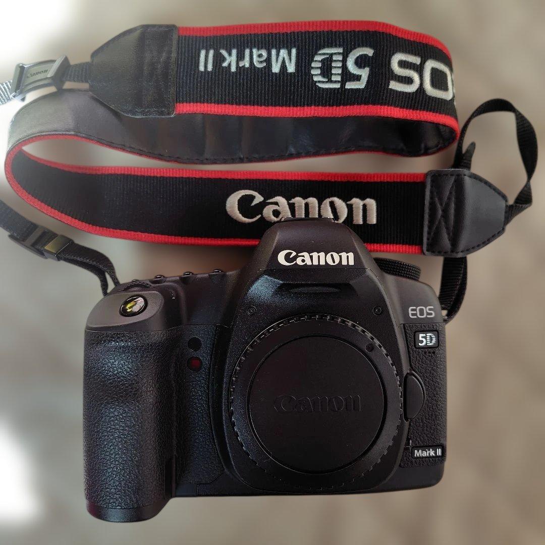 エマ　Canon EOS 5D MarkⅡ取説、メモリーディスク