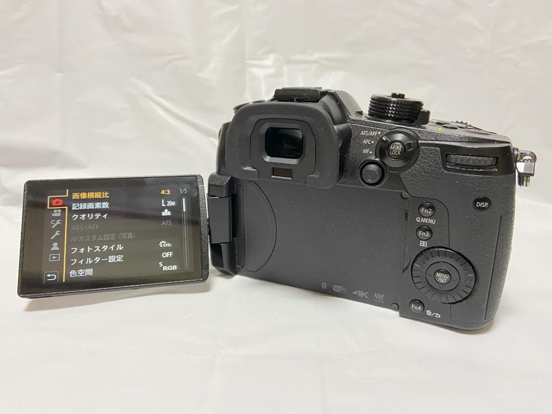 パナソニック LUMIX GH5　V-Log Lアップグレード済み
