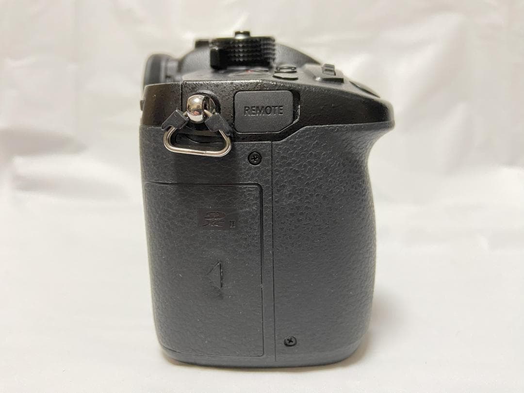 パナソニック LUMIX GH5　V-Log Lアップグレード済み