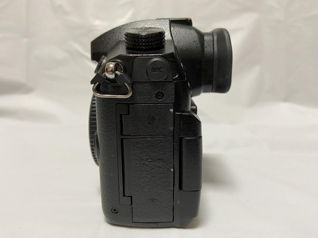 パナソニック LUMIX GH5　V-Log Lアップグレード済み