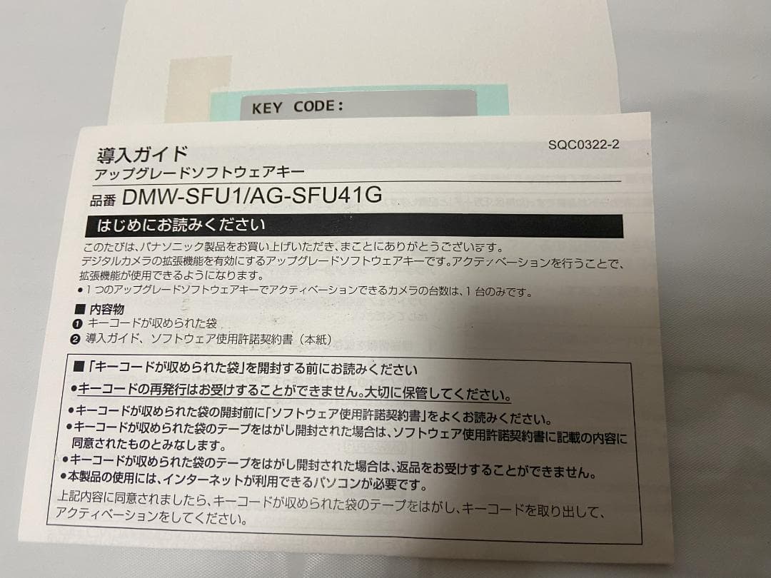 パナソニック LUMIX GH5　V-Log Lアップグレード済み