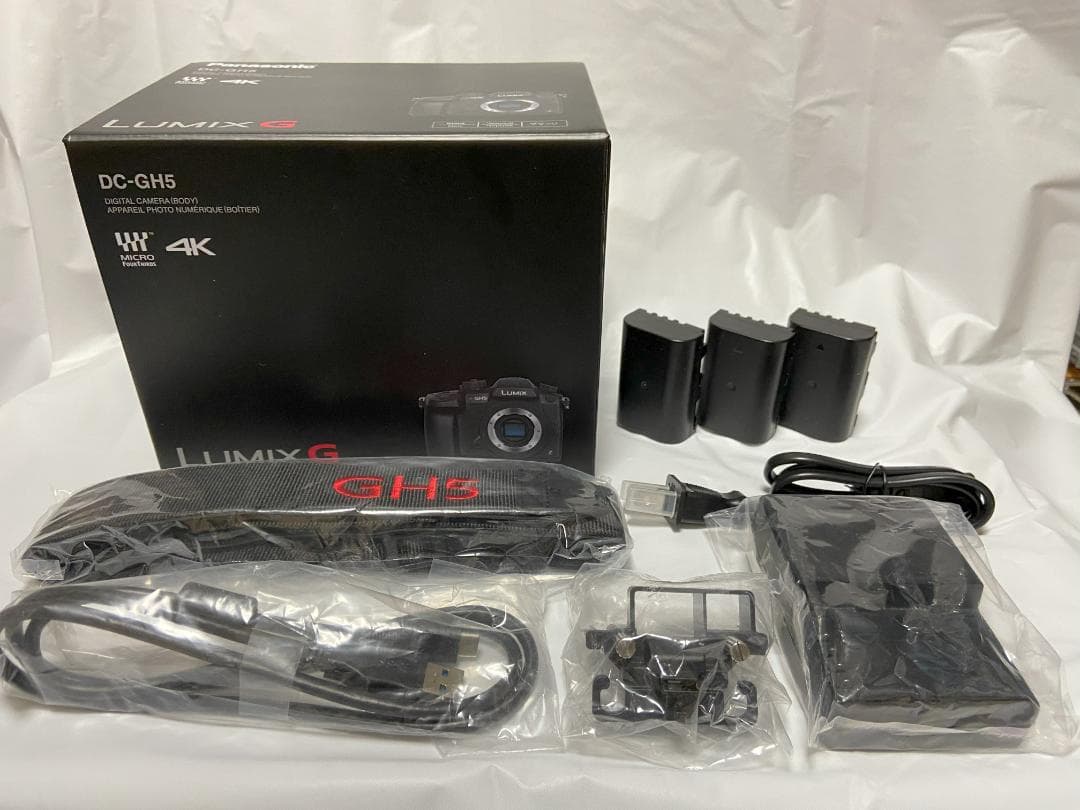 パナソニック LUMIX GH5　V-Log Lアップグレード済み