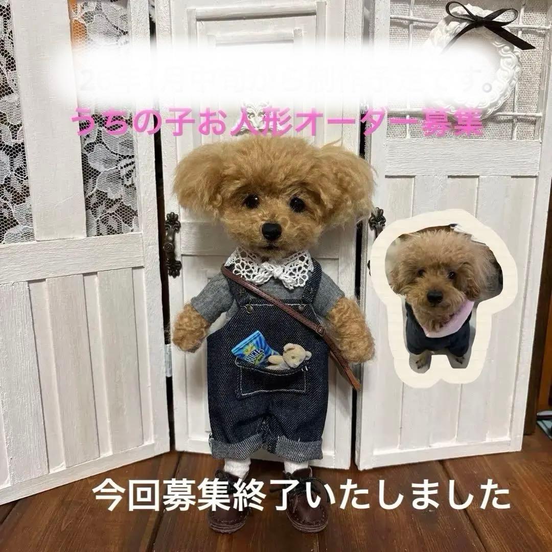 トイプードル　お人形