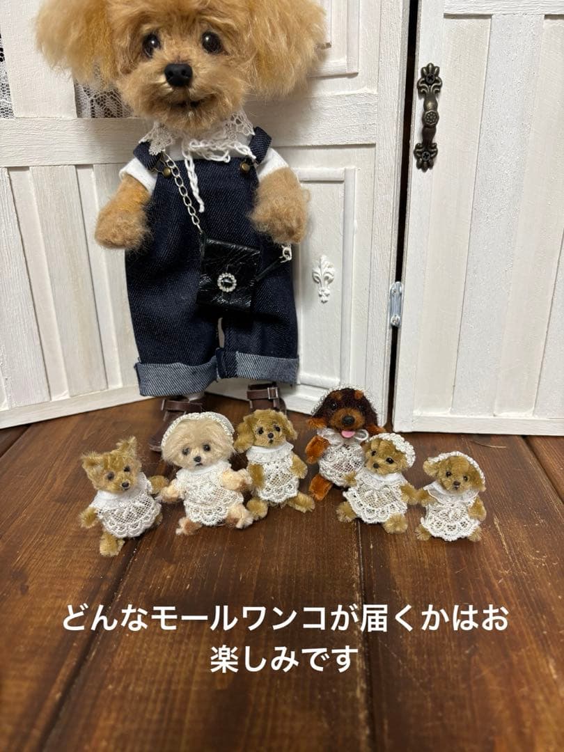 トイプードル　お人形