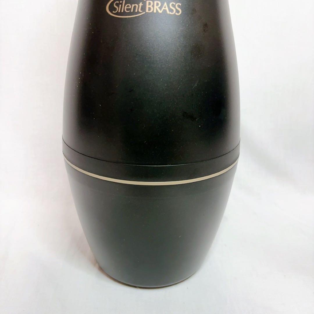 【極美品】YAMAHA Silent BRASS EUPHONIUM PM2