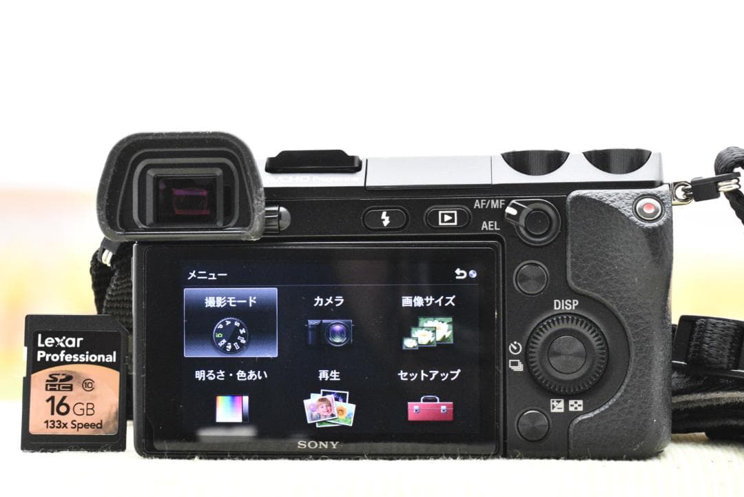 ショット数33枚 ソニー SONY α NEX-7 + 18-55mm